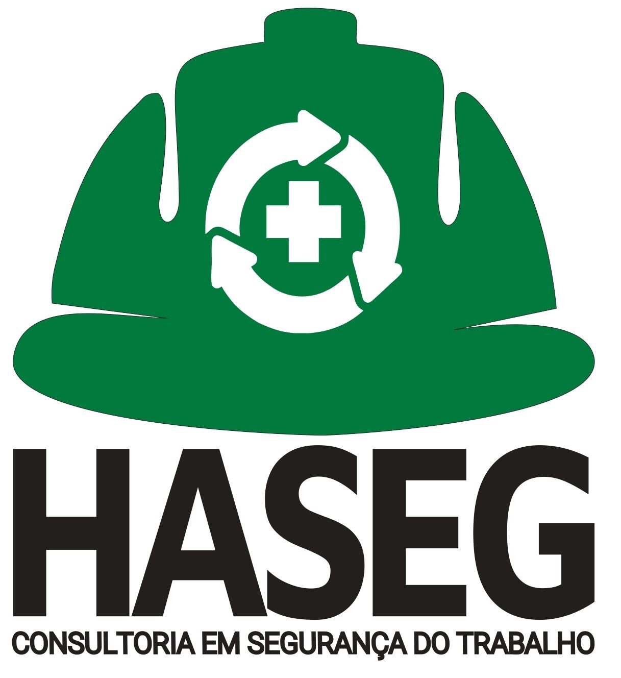 Haseg Consultoria
